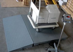 專業直供 1噸、2噸、3噸電子地磅與配套網絡技術服務，一站式解決方案